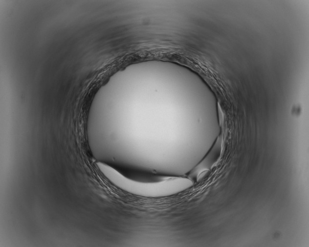 X0000097991109200804211056