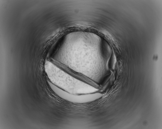 X0000097991110200804211056