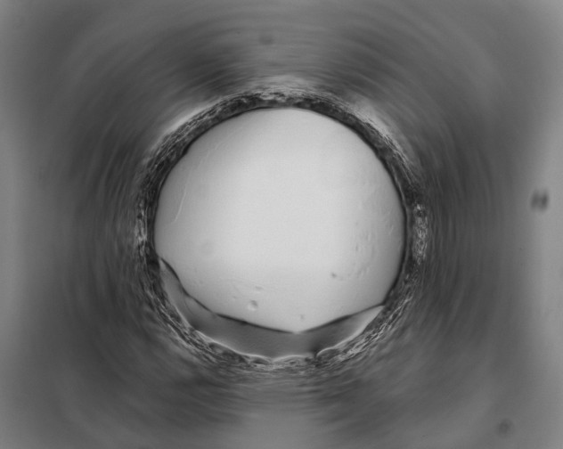 X0000097991112200804211056