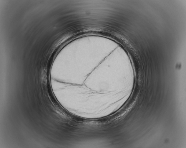 X0000097991113200804211056