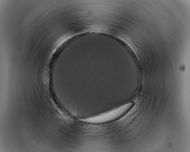 X0000097991115200804211056