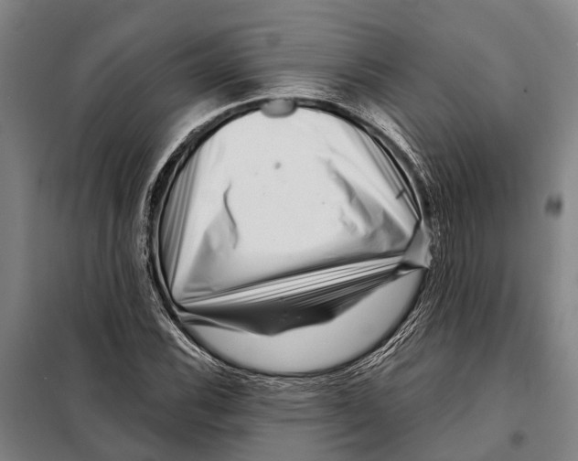 X0000097991116200804211056