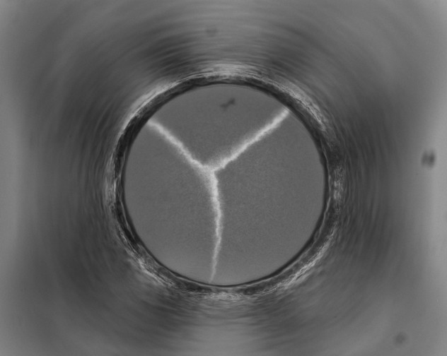 X0000097991117200804211056