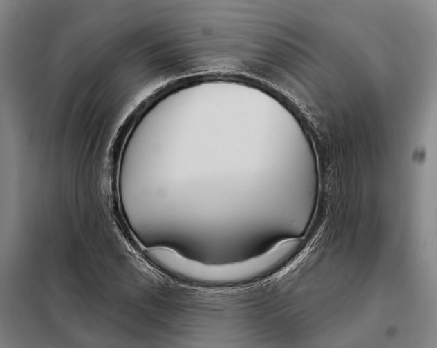 X0000097991118200804211056