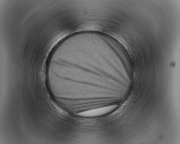 X0000097991119200804211056