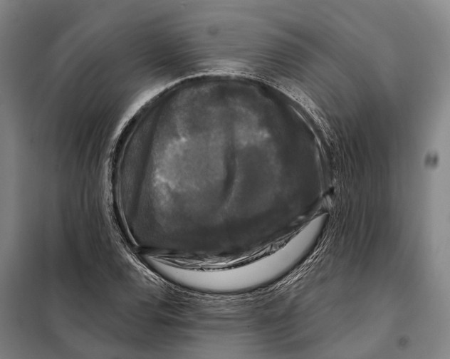 X0000097991120200804211056