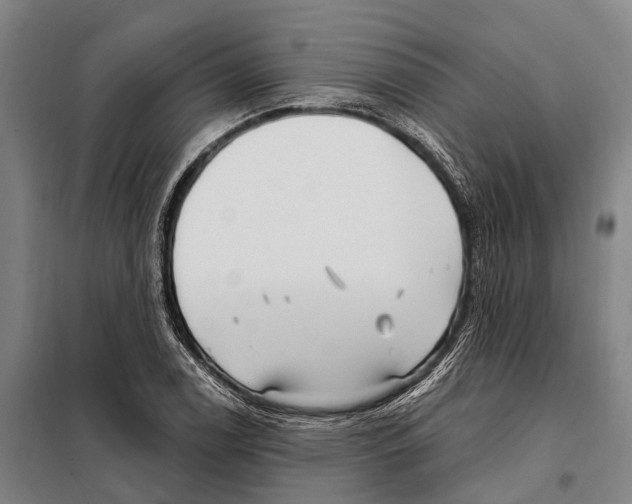 X0000097991122200804211056