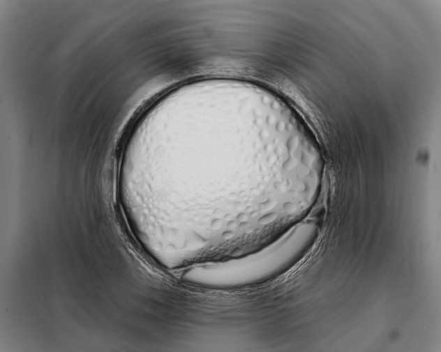 X0000097991123200804211057