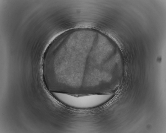 X0000097991124200804211057