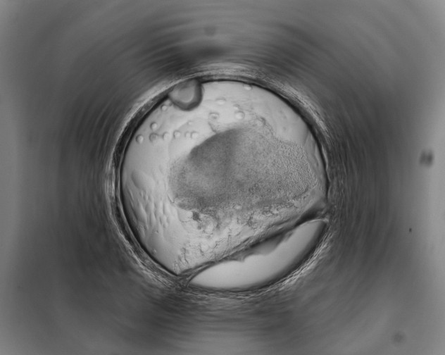 X0000097991125200804211057