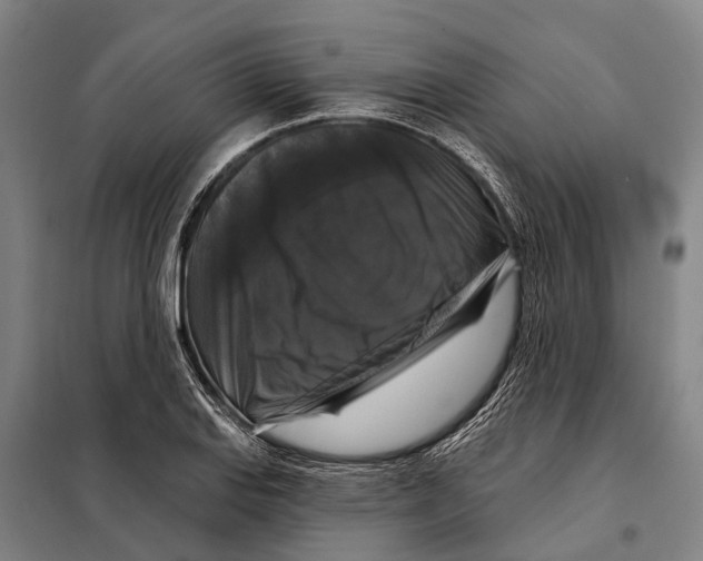 X0000097991127200804211057