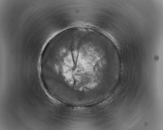 X0000097991128200804211057