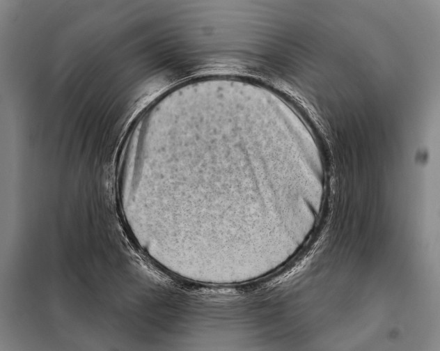 X0000097991129200804211057