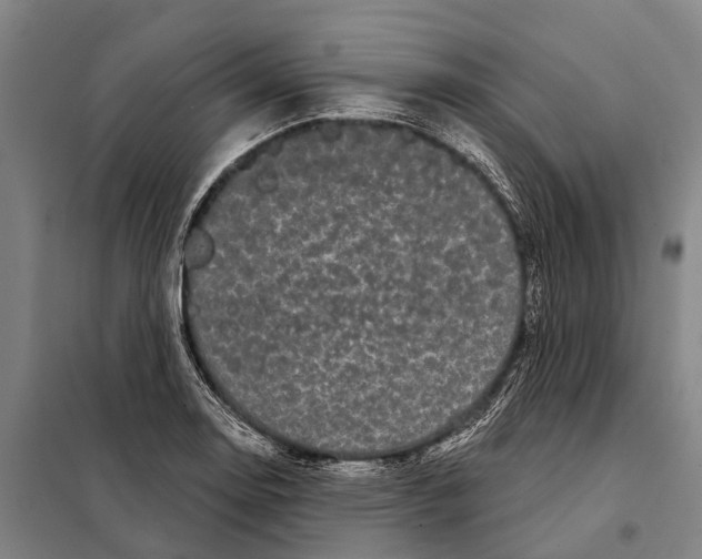 X0000097991130200804211057