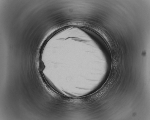 X0000097991131200804211057