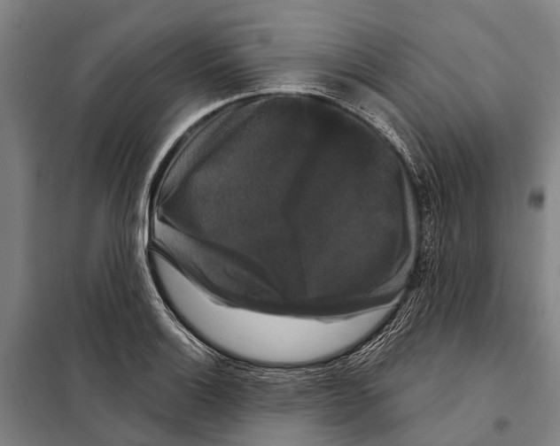 X0000097991132200804211057