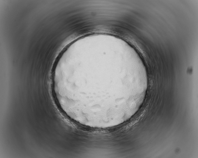 X0000097991133200804211057