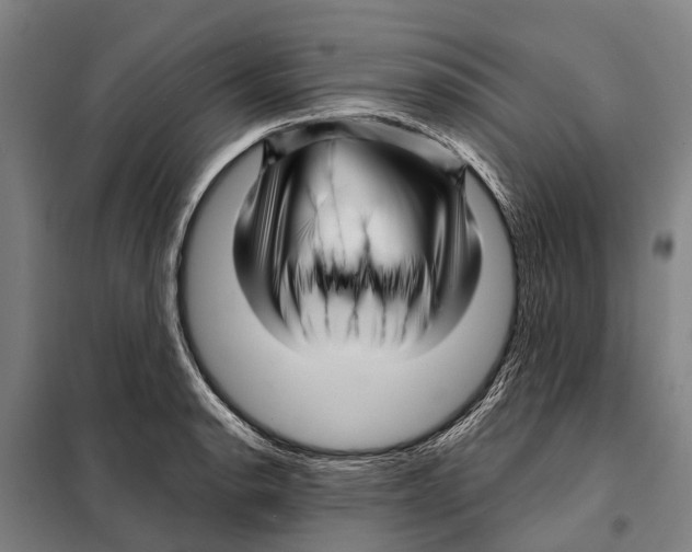 X0000097991134200804211057