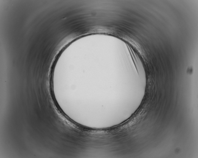 X0000097991135200804211057