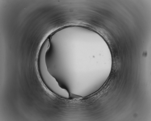 X0000097991136200804211057