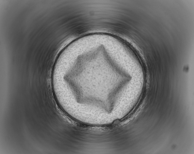 X0000097991137200804211057