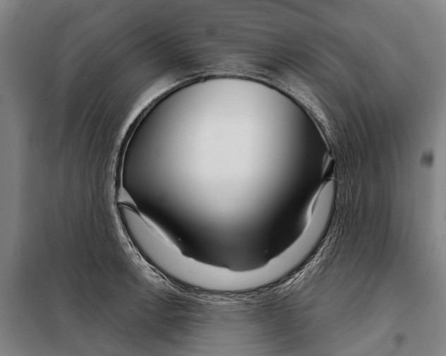 X0000097991138200804211057