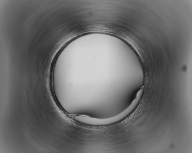 X0000097991139200804211057