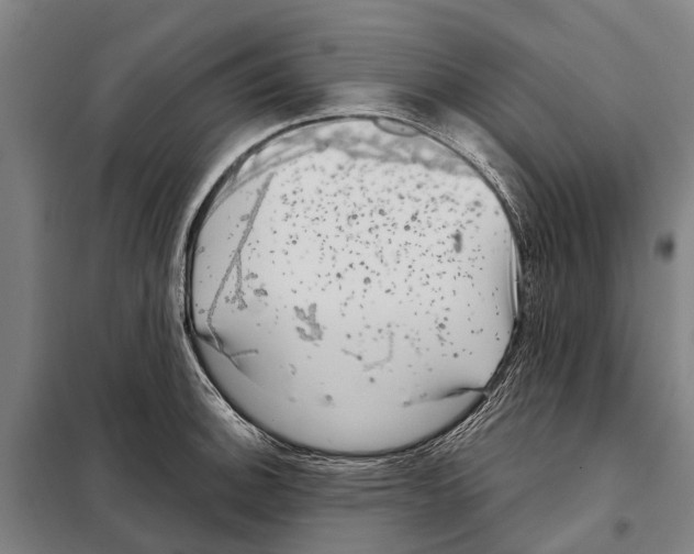 X0000097991140200804211057