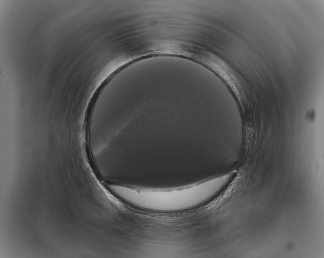 X0000097991141200804211057