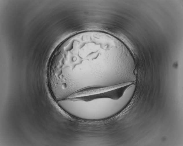 X0000097991142200804211057