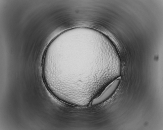 X0000097991143200804211057