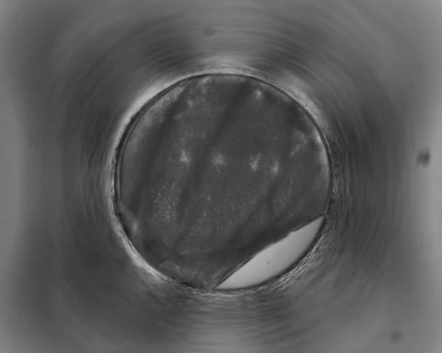 X0000097991144200804211057