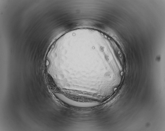 X0000097991145200804211057