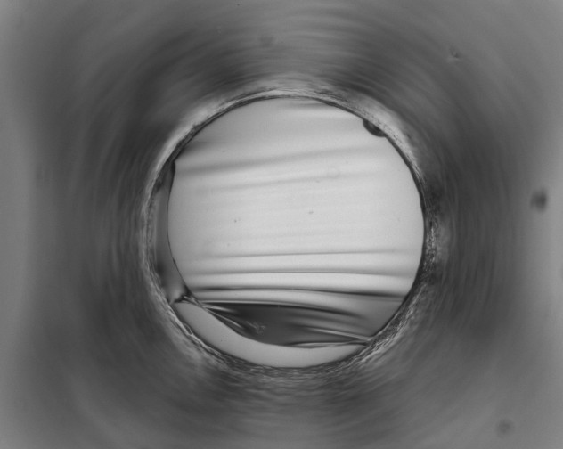 X0000097991146200804211057