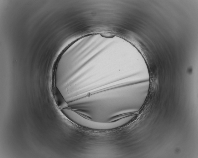 X0000097991147200804211057