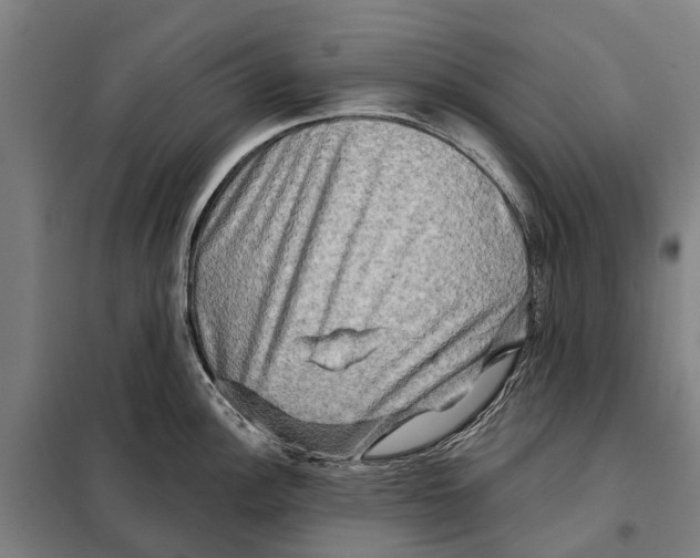 X0000097991148200804211057