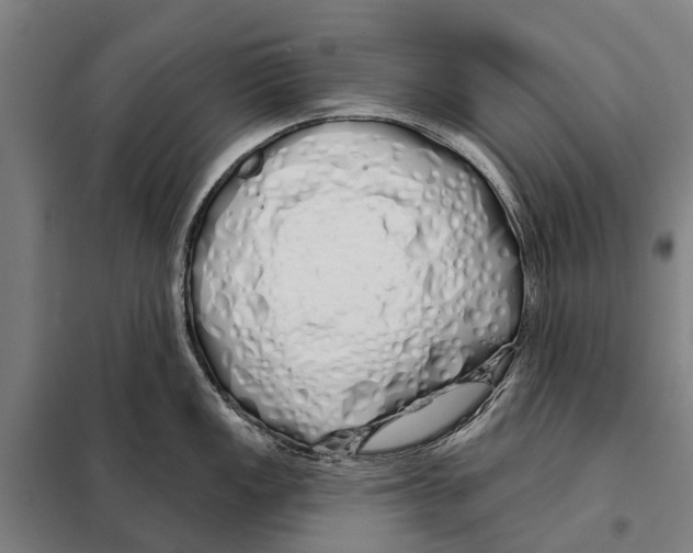 X0000097991149200804211057