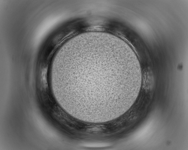 X0000097991150200804211057