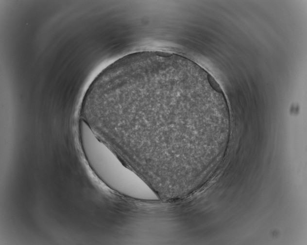 X0000097991152200804211057