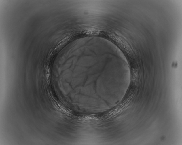 X0000097991154200804211056