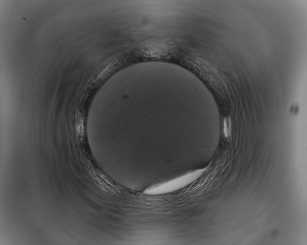 X0000097991155200804211056