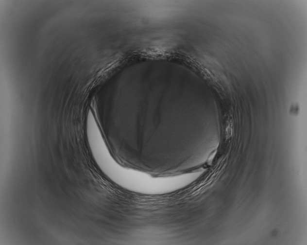 X0000097991156200804211056