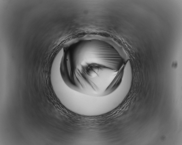 X0000097991157200804211056