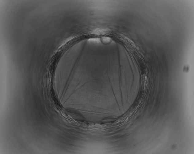 X0000097991158200804211056