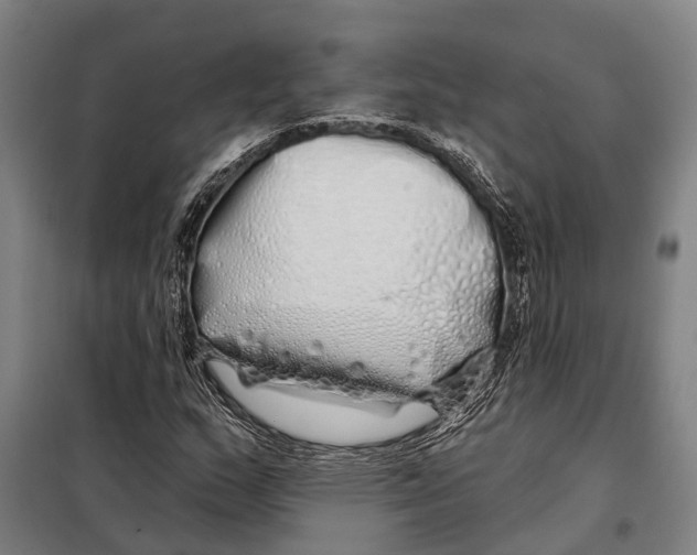 X0000097991159200804211056