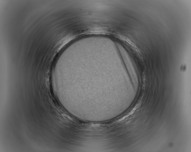 X0000097991162200804211056