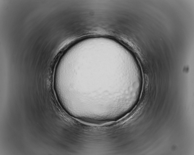 X0000097991163200804211056