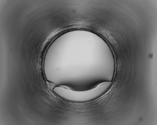 X0000097991164200804211056