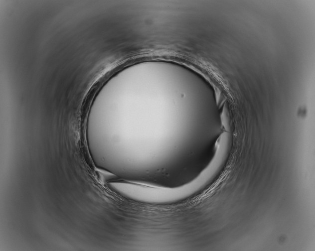 X0000097991165200804211056