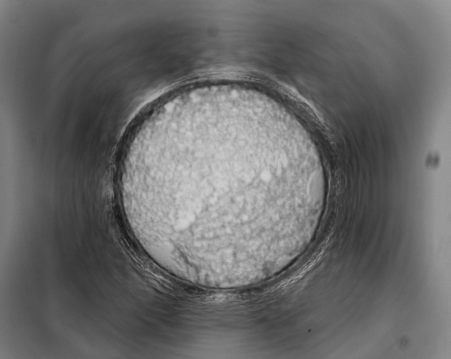 X0000097991166200804211056